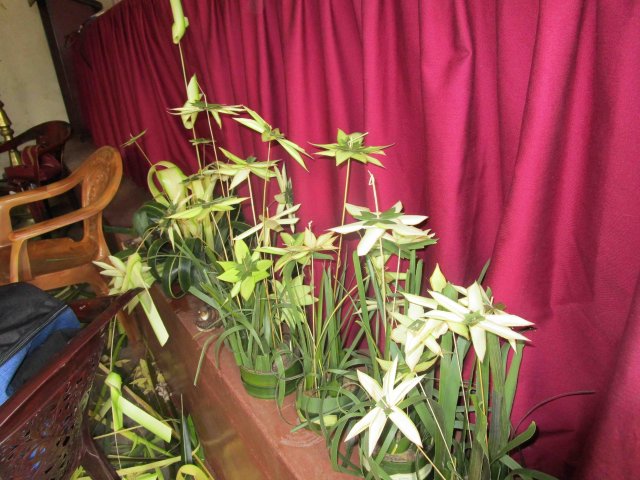 ගොක් කලාව පිළිබඳ පුහුණු වැඩසටහන